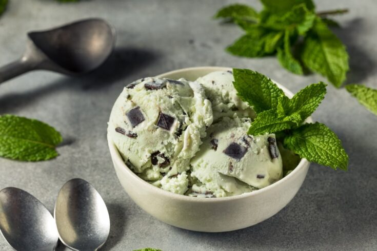 Keto Mint Chocolate Chip Ice Cream