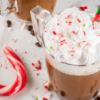 Keto Peppermint Mocha (Starbucks Copycat) – Low Carb Breakfast