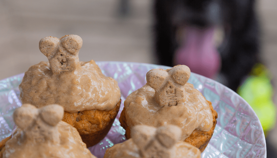 Easy Dog Cupcakes