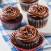 Eggless Cupcakes